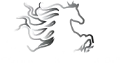 Theconnectedrider Coupons